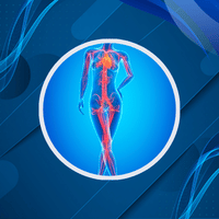 Vascular Blueprint logo